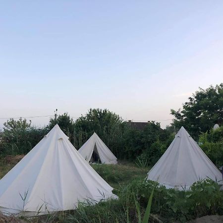 Danube Delta Hostel Homestay & Camping Sulina Kültér fotó