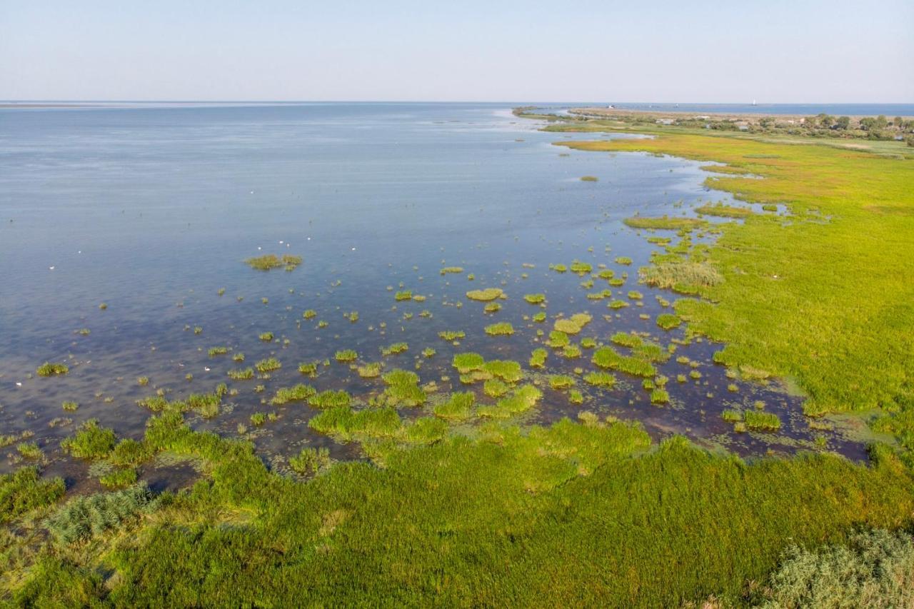 Danube Delta Hostel Homestay & Camping Sulina Kültér fotó